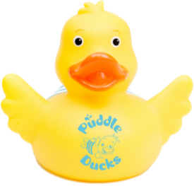 Home_Puddle Ducks Duck